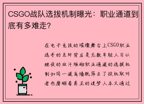 CSGO战队选拔机制曝光：职业通道到底有多难走？